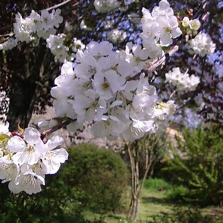 Domaine De L'Estuaire Otel Saint-Thomas-de-Cônac Dış mekan fotoğraf